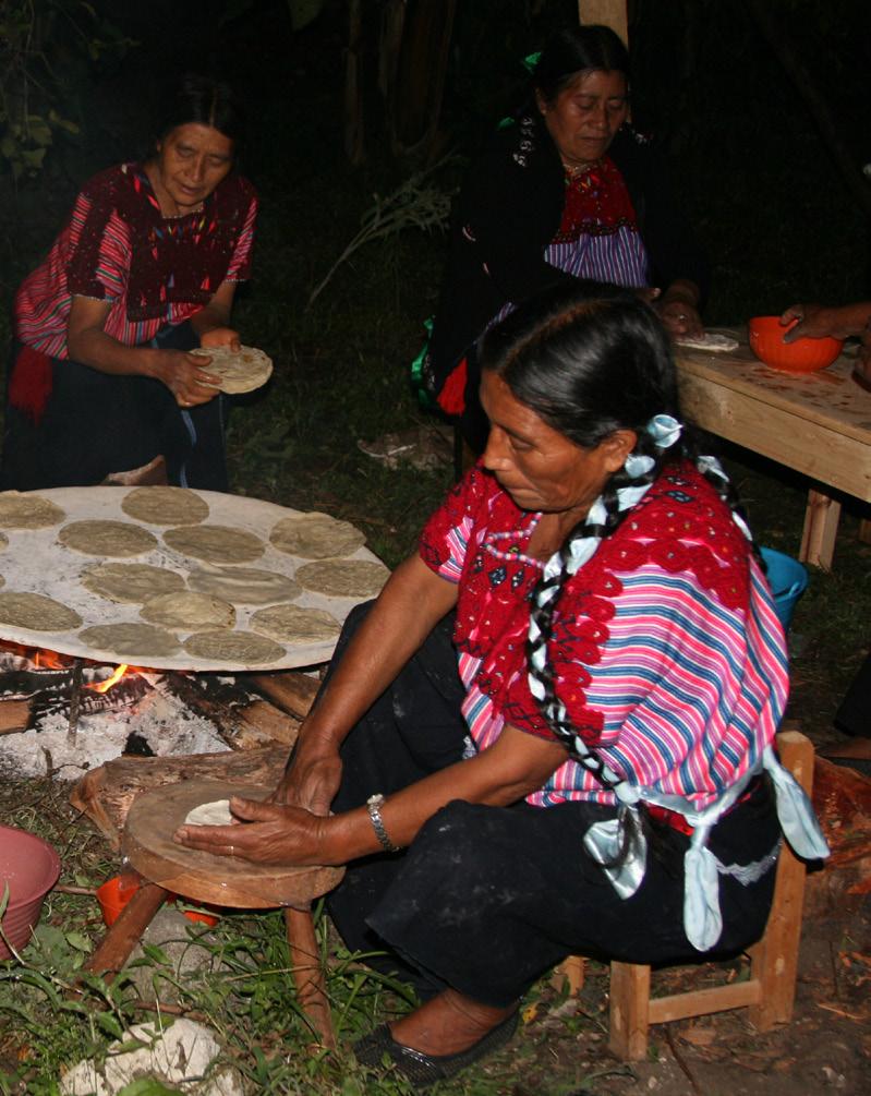 Enrique Pérez López SOCIAL COHESION IN CHIAPAS 47 wrap the food), join those having kitchen utensils and ceremonial costumes to form a vital group helping in the celebration.