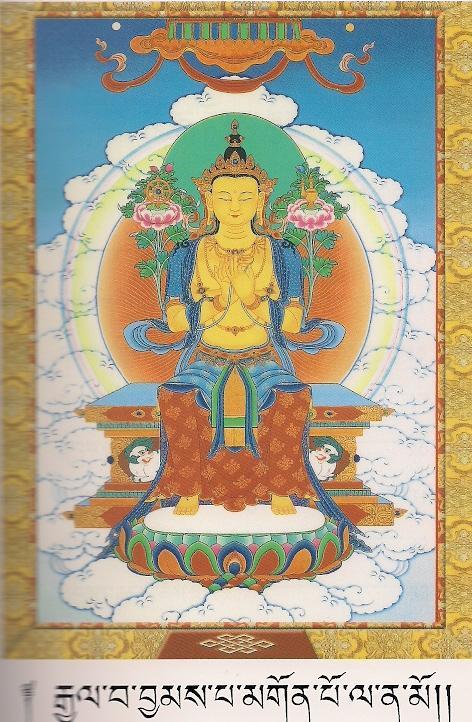 Maitreya Buddha Maitreya Buddha, unlike the other Buddhas and bodhisattvas, sits on a throne, and his feet rest on a lotus and moon cushion.
