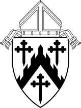 DIOCESE OF DAVENPORT Policies Relating to The Bishop in the Liturgy These pages may be reproduced by parish and Diocesan staff for their use Policy promulgated at the Pastoral Center of the Diocese