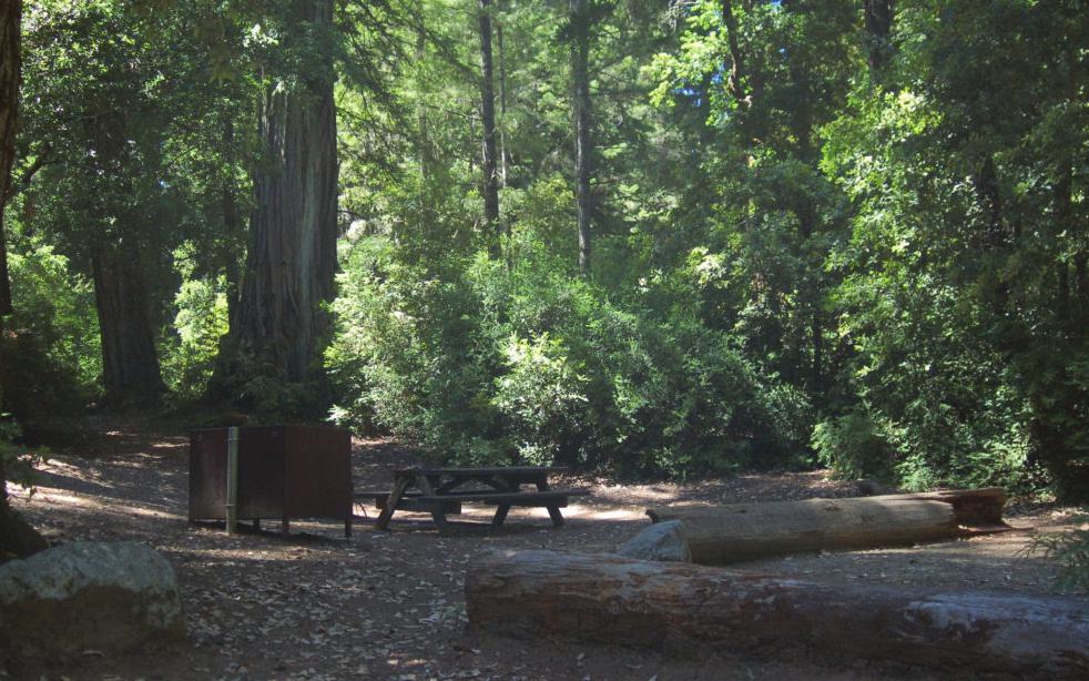 CAMPING TRIP Celebrate Shabbat in the Outdoors YOUR PROMPT RESPONSE IS APPRECIATED Big Basin Redwoods State Park Be on the lookout for your membership renewal mailing and, where applicable, Religious