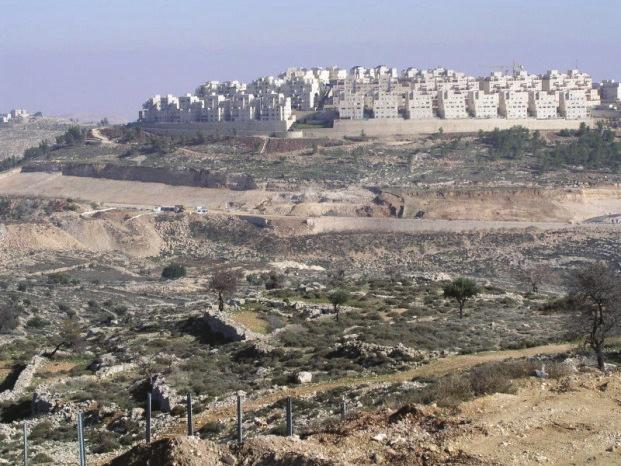 Forum Activism: National Interests: Promoting Jewish presence in mixed cities Enforcing Israeli sovereignty in East Jerusalem: Battling illegal construction and environmental neglect Battling to end