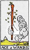M I N O R A R C A N A ACE of WANDS Creative path. Expansion. Fertility. Initiative. Inspiration. Invention. New beginnings. New direction. New ideas. Passion. Positive encouragement. Positive energy.