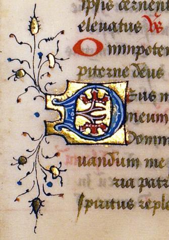 manuscripts were often distinguished by the embellishment