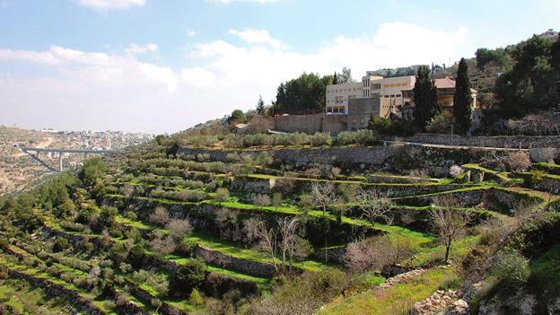 The State of Israel will continue construction of the security barrier, which will cut the Cremisan valley in two, depriving parishioners from Beit Jala of their land and separating the convent of