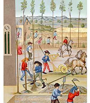Serfdom in the Middle Ages During the Middle Ages in Europe, peasants became legally bound to live and work in one place in servitude to wealthy landowners.