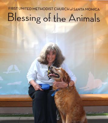 Happenings at First UMC Blessing of the Animals 2014 What is a pledge?