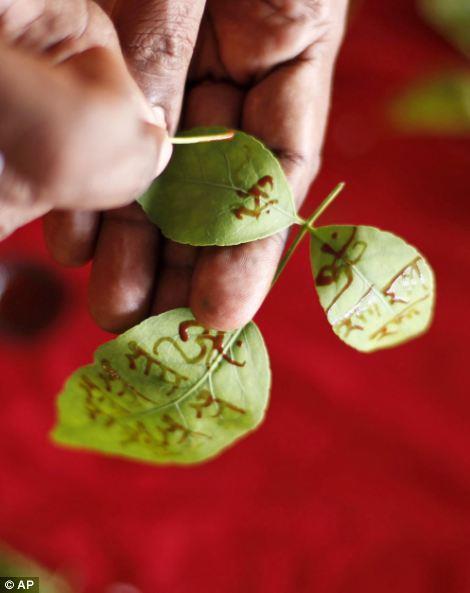 writes holy Hindu scripts on leaves to