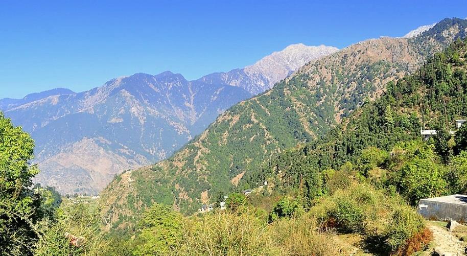 Early in the morning we go to Dharamkot by rickshaw, where the 7 km-long-walk to the top of the Hill Triund starts.