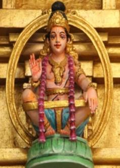 Abishekam Regular Puja Vasantha mandapa Alankara Pooja and Circumambulation of Lord Selva Vinayakar inner sanctum 6:00pm 7:30pm 8:00pm Sri AyyapaSwamy Thanu Rasi Masa