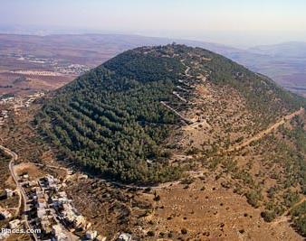 Mount Tabor The Israelite tribes gathered on Mount Tabor in the days of Deborah.