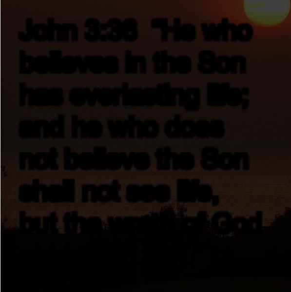 John 3:36 He who believes in the Son has everlasting