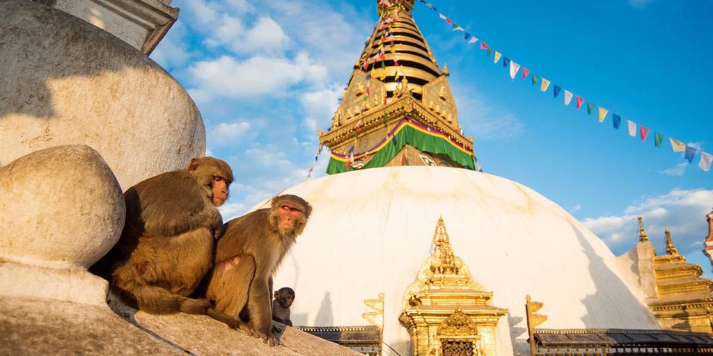9 days Starts/Ends: Kathmandu Combine exploration of ancient cities, temples and palaces, breathtaking mountain ranges and thundering waterfalls.