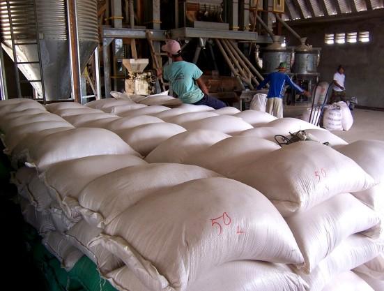 Partnered in purchasing land and a rice mill in northwestern Cambodia. Since then rice fields, silos and columbines have been purchased by other organizations.