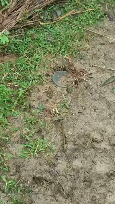 A landmine planted in the border area of Myanmar, near paths by which Rohingya fled to Bangladesh. An Amnesty International weapons expert confirmed that it is a PMN-1 type mine.