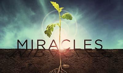 MIRACLE Help Week Leader Guide (continued) GROUP TIME: It s a MIRACLE! (20 Minutes) Assigned Speaker Suggestion: Have you ever been in an impossible situation?