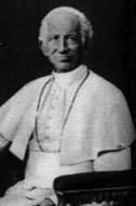 A Vision Spanning Heaven and Earth Pope Leo XIII was attending Mass [when] suddenly we saw him raise his head and stare at something above the celebrant s head.