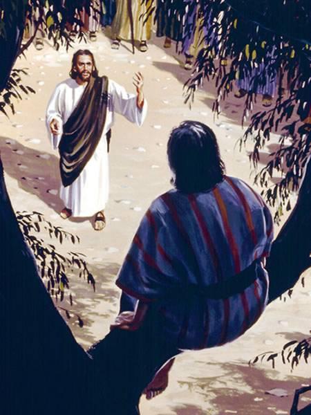 Friend of Outcasts (Luke 19:1-10) Zacchaeus (tax collector): Short in stature, climbed a tree to catch a glimpse of Jesus Received Jesus into his house Gave half of his wealth to the poor