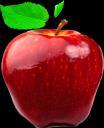 The 2017 Apple Festival will take place on Saturday, September 16. SKYZONE FAMILY FUNdRAISER Yes!