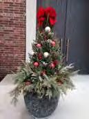 The Christmas plants decorating the exterior of the church are donated in Loving Memory of Frank Colucci and Eugene Colucci by the Mecir Family.