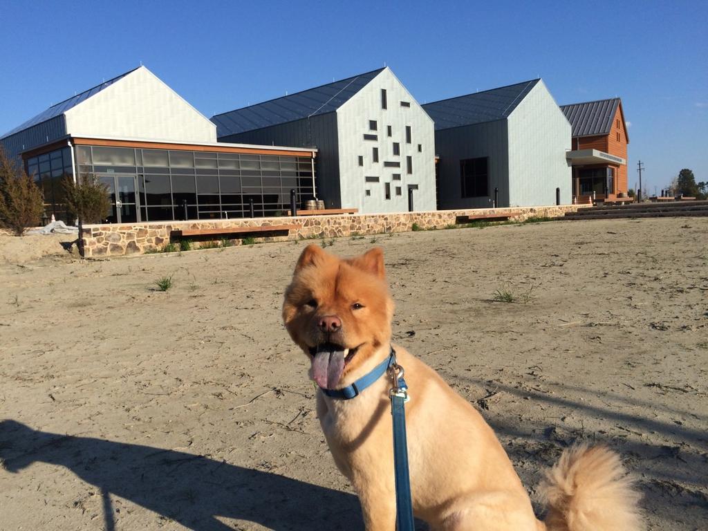 The Visitor Center will be open from 9-5 pm, seven days a week. Where can I take my pet?