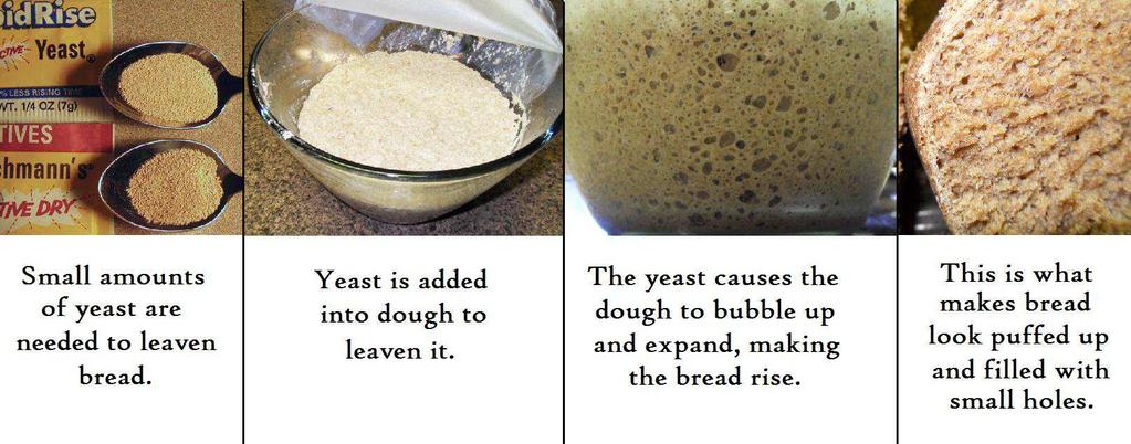 Great Events of the New Testament Lesson #37 Beware the Leaven Study Notes For Sunday, September 24, 2017 Read Matt. 15:1-20; 16:1-12; Mk.