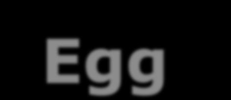 Half-Egg