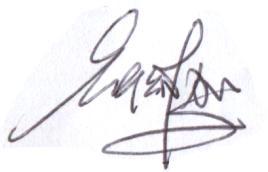 James Chen Signature... Researcher (IGE) U.S.A 19. Lindsay Kuntz Signature.