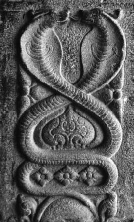 50 Mystery of the Serpent and the Soul he following longer passage from A Treatise on Cosmic Fire, is interspersed with some commentary: If students will apply themselves to the consideration of