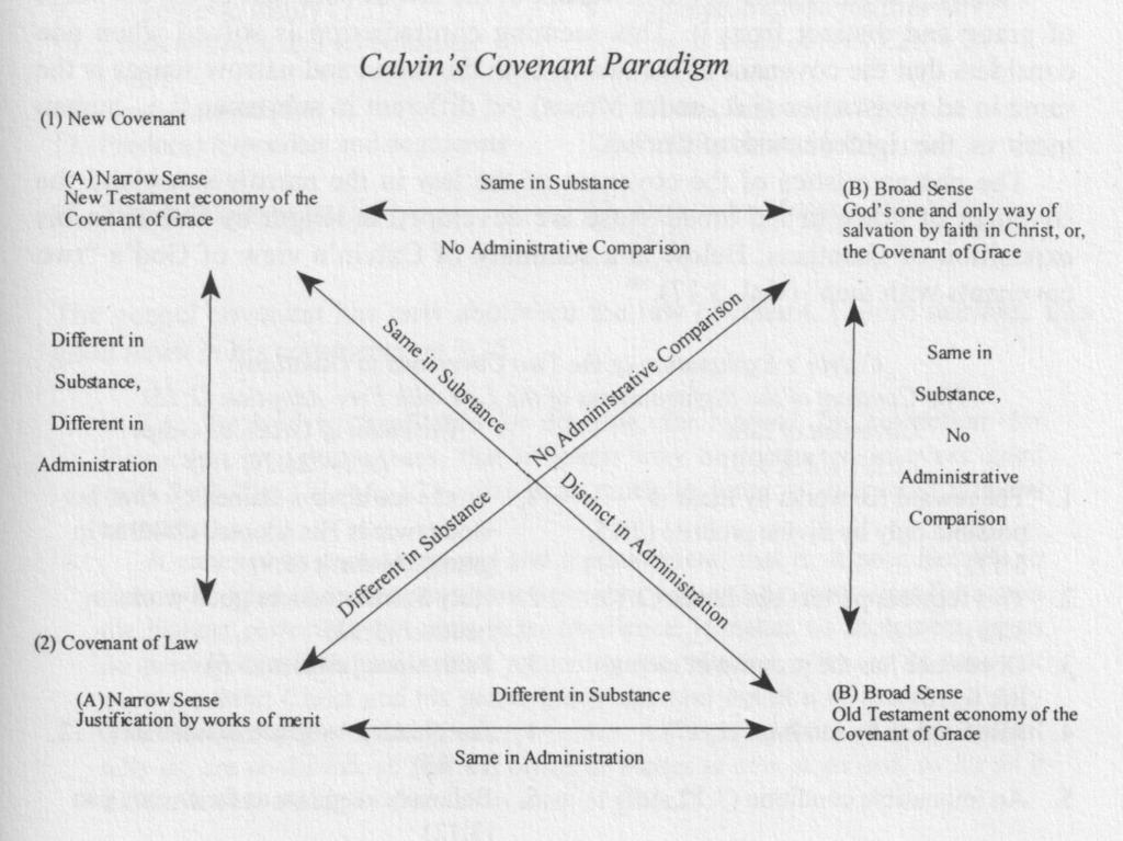 Appendix 1: Calvin's Narrow and broad conceptions of