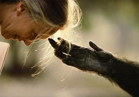 Jane Goodall Change happens by listening and then starting a dialog