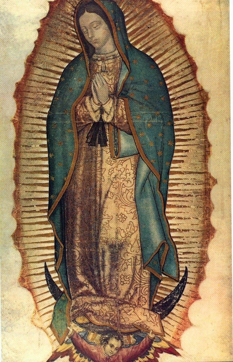 Our Lady of Guadalupe Our Lady of Guadalupe, Mystical Rose, make intercession for holy Church, protect the sovereign Pontiff, help all those who invoke you in their necessities, and since you are the