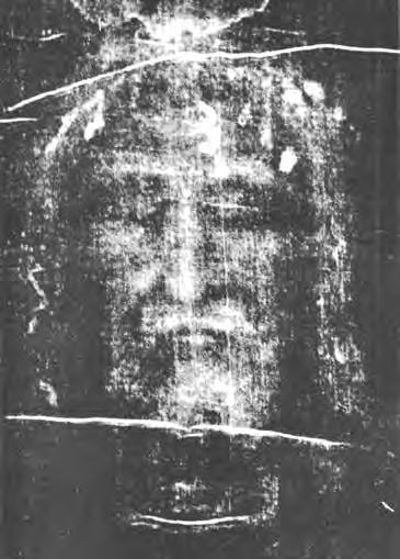 NOVENA IN HONOR OF THE HOLY FACE OFJESUS THE SHROUD OF TURIN I firmly wish that My Face reflecting the intimate