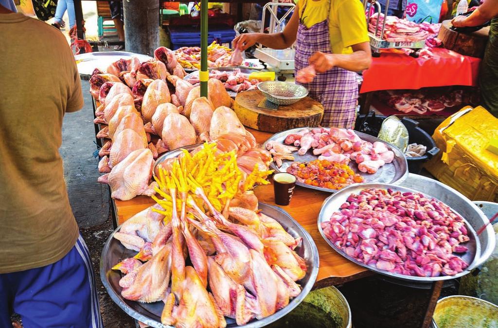 including myself. Counsellor food safety Now Myanmar is like the man inside the box, being poked by sharp, inhuman spikes after spikes, tangible and intangible, from within and outside.