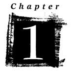 List the words or ideas that are repeated. 4. Write an outline of the chapter. 5.