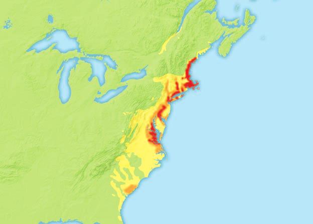 Settling the Thirteen Colonies, 1607 1750 Analyzing GEOGRAPHY 1. Location Why were the earliest settlements on the coast? 2. Place Which colony was founded as a haven for debtors?