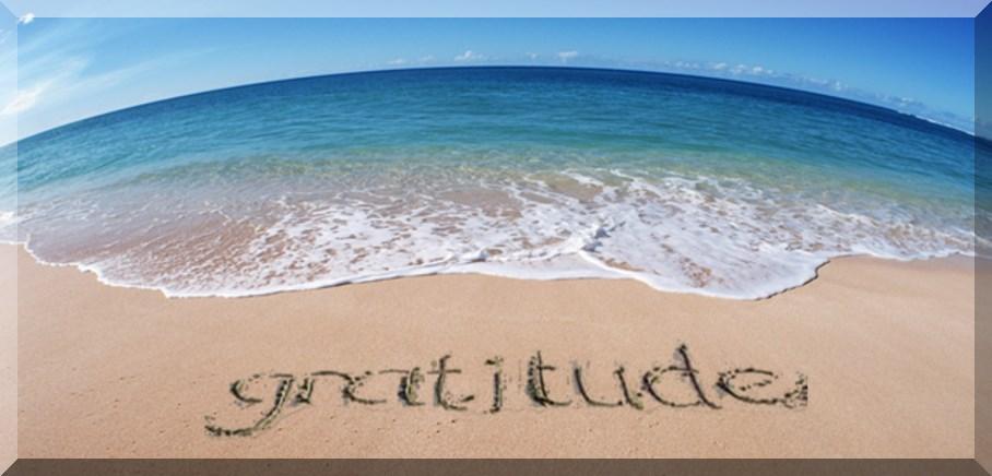 CARING FOR OTHERS OUT OF GRATITUDE Gratitude