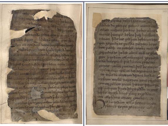 Beowulf only survives in one manuscript, called the Cotton Vitellius It was damaged in
