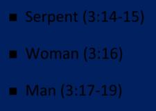 spite of the sin Divine Judgments (3:14 19) Serpent (3:14 15) Woman (3:16) Man (3:17 19)