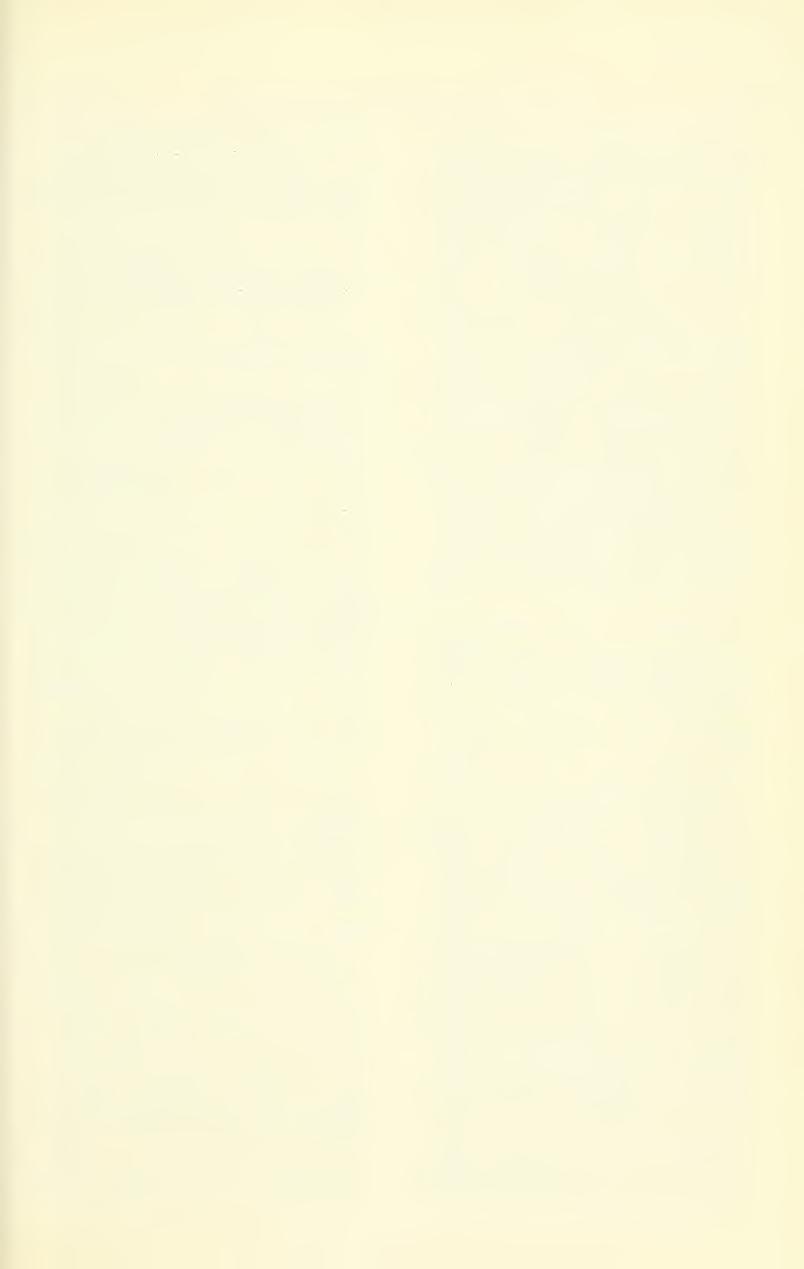 Dec 1975 WELSH, ET AL: ENDANCJERED UTAH PLANTS 335 Erigeron garrettii A Nels, Manual Bot Centr Rocky Mts 526 1909 Type: Big Cottonwood Canyon, Salt Lake Co, Utah 28 Jun 1905, Garrett 1310 (rm)