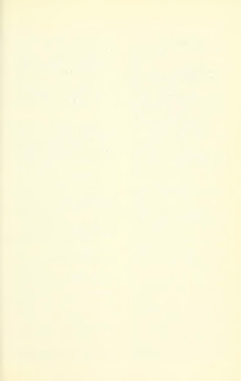Dec 1975 WELSH ET AL: ENDANGERED UTAH PLANTS 343 Thelypodium sagittatum (Nutt) Endl ex Walp var ovalifouum (Rydb) Welsh & Reveal, stat & comb, nov, based on T ovajifouum Rydb, Bull Torrey Hot Club