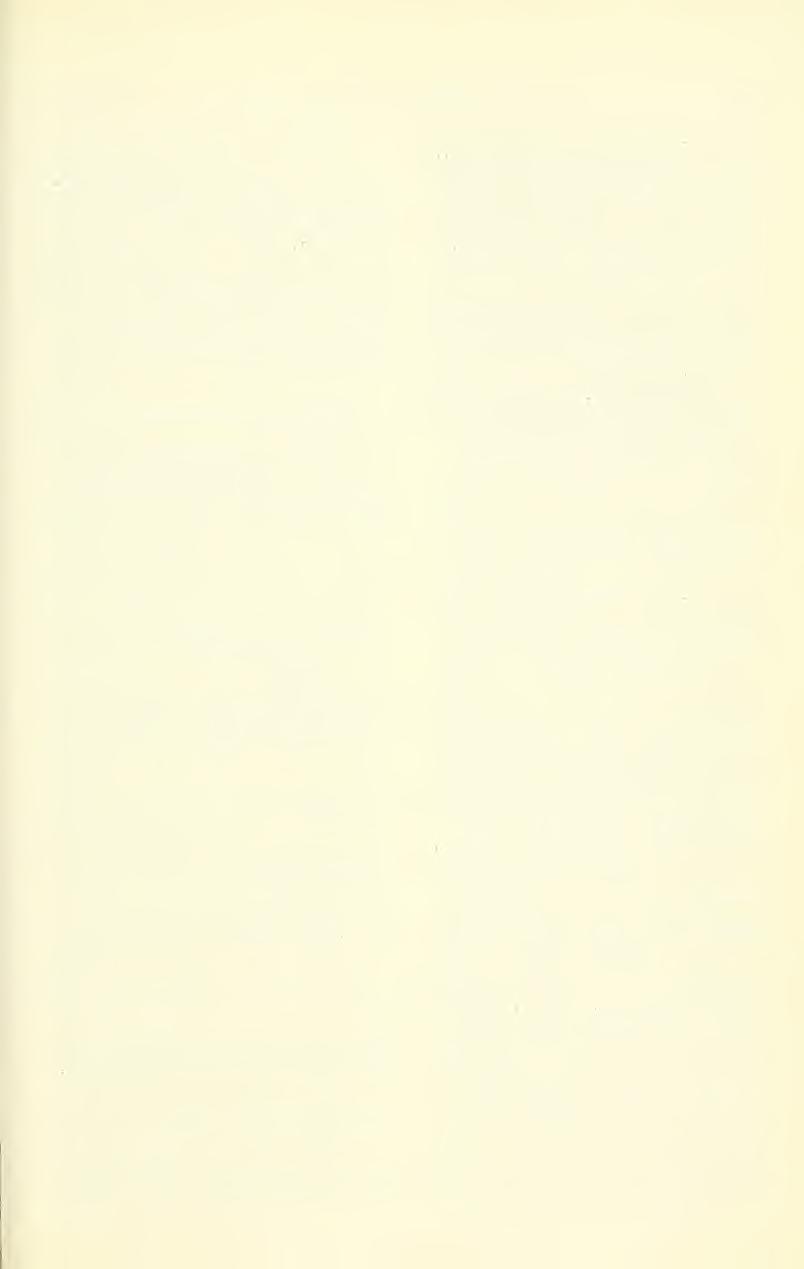 Dec 1975 WELSH, ET AL: ENDANGERED UTAH PEANTS 355 Distribution: Utah Co, Utah (Atwood 1973, in press) Phacelia cephalotes A Gray, Proc Amer Acad Arts 10: 325 1875 Type: Valley of the Virgin River,
