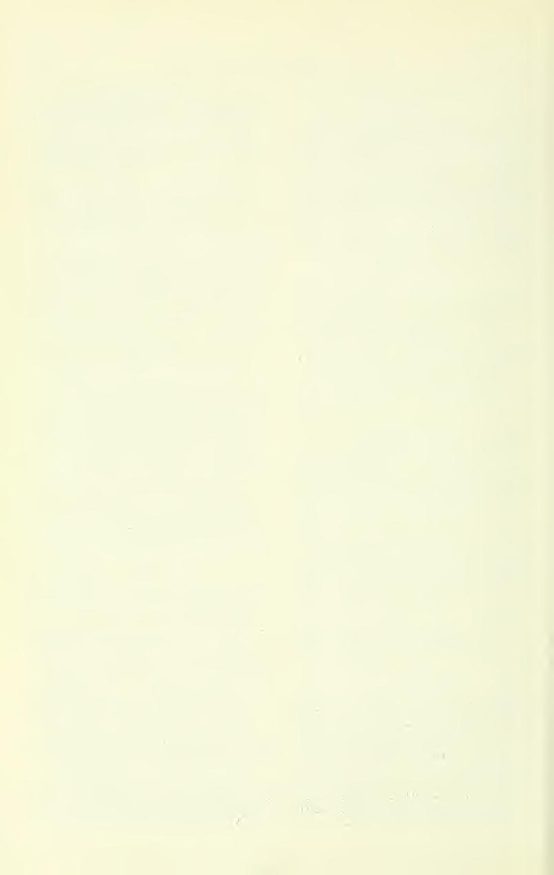 358 GREAT BASIN NATURALIST Vol 35, No 4 Nyctaginaceae Boerhaavia torreyana (S Wats) Standley, Contr US Natl Herb 12: 385 1909, based on B spicata var torreyana S Wats, Proc Amer Acad Arts 24: 70 1889