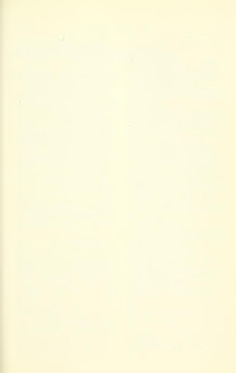 Dec 1975 WELSH, ET AL: ENDANGERED UTAH PLANTS 361 Phlox gladiformis (M E Jones) E Nels, Rev West N Amer Phloxes 21 1899, based on P longifolia var gladiformis M E Jones, Proc Calif Acad Sci II, 5: