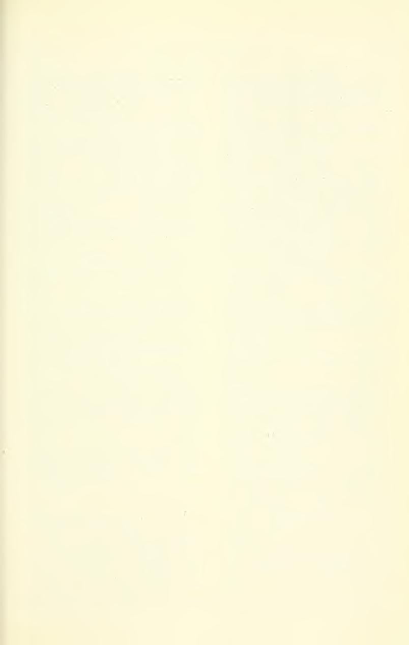 Dec 1975 WELSH, F,T AL: ENDANGERED UTAH PLANTS 369 Distribution: Daggett Co, Utah (ny, us, utc) and adjacent vsweetwater Co, Wyoming (Keck 1937a) Penstemon atwoodii Welsh, Great Basin Nat 35: 378