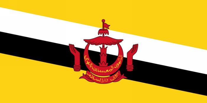 Facts & Figures NATIONAL IDENTITY / OFFICIAL NAME Negara Brunei Darussalam (The Country of Brunei, Abode of Peace).