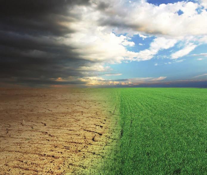 PhoTo: ThINKSTocK Mounting WoRLDWiDE CRisis in AgRiCuLtuRE Part 6 Too often, agriculturists see only the effects, while the actual causes of the crisis grow worse and more complicated.