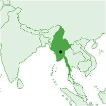 BURMA (MYANMAR) Buddhist (74.7%) Christian (7.9%) Ethno-religionist (9.5%) Hindu (1.7%) Muslim (3.8%) Other (2.4%) Area: 676,552 km 2 Population: 51.