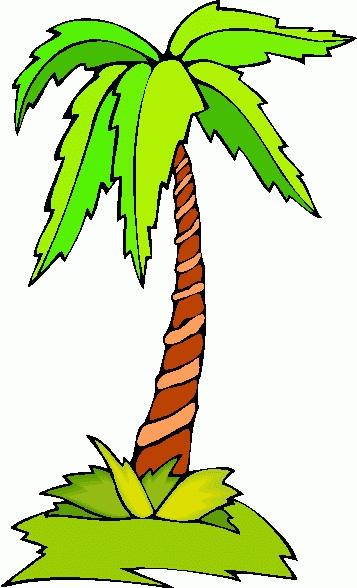 GO AND TELL BOX Week #6 Who Are the Jenkins? (Suggested item to put in the Go and Tell Box a picture of a palm tree.) What do you think a palm tree has to do with going and telling?