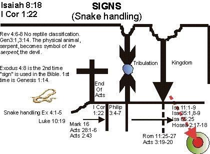 MARK 16: SIGNS OF THE KINGDOM The first time signs are mentioned in the Bible is in Genesis 1:14 in connection with the Sun, moon and stars.