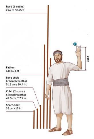 The measuring rod comes from a species of cane that grew in the Jordan Valley to a height of 12-20 feet.